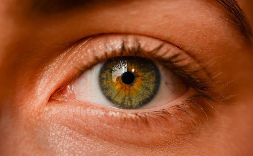 Oczy to jednostkowy organ. To dokładnie dzięki nim odczuwamy.
